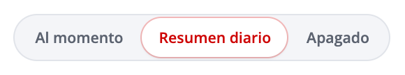 Opción Resumen diario seleccionada